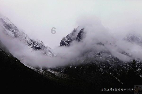 春雨直播app