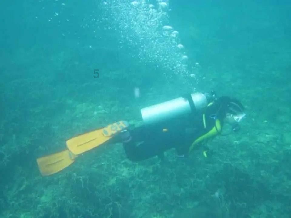 沃克谈出轨:我做出了愚蠢的选择,很抱歉伤害了我爱的人