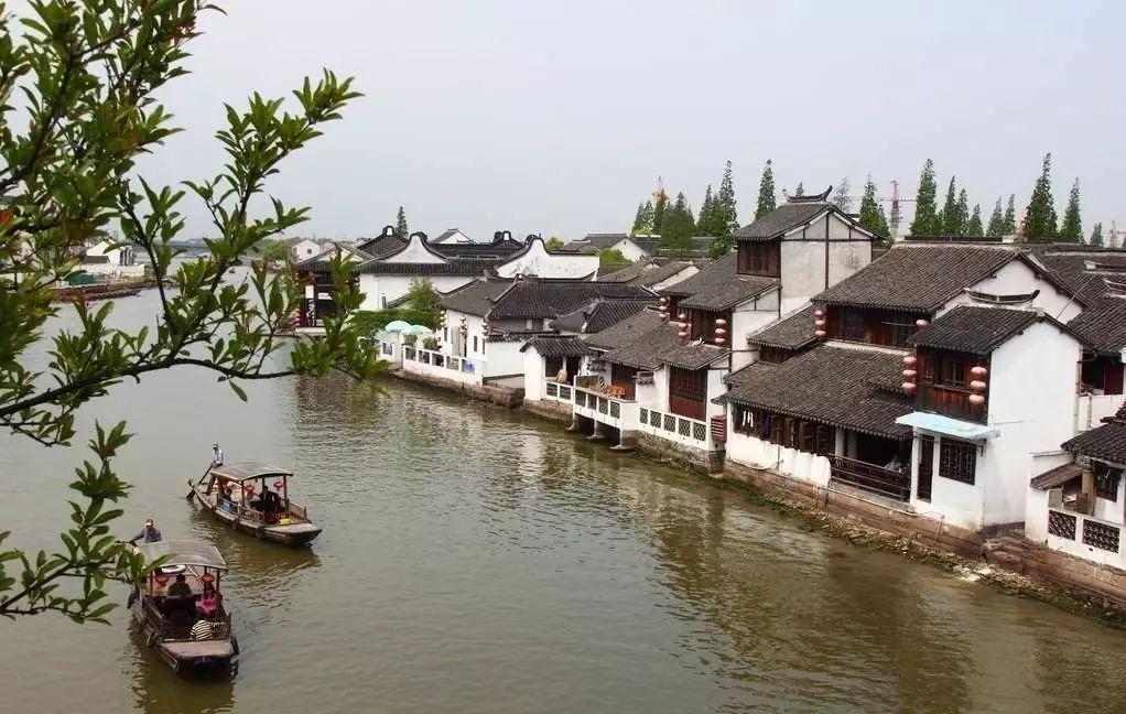 逃离太古森林